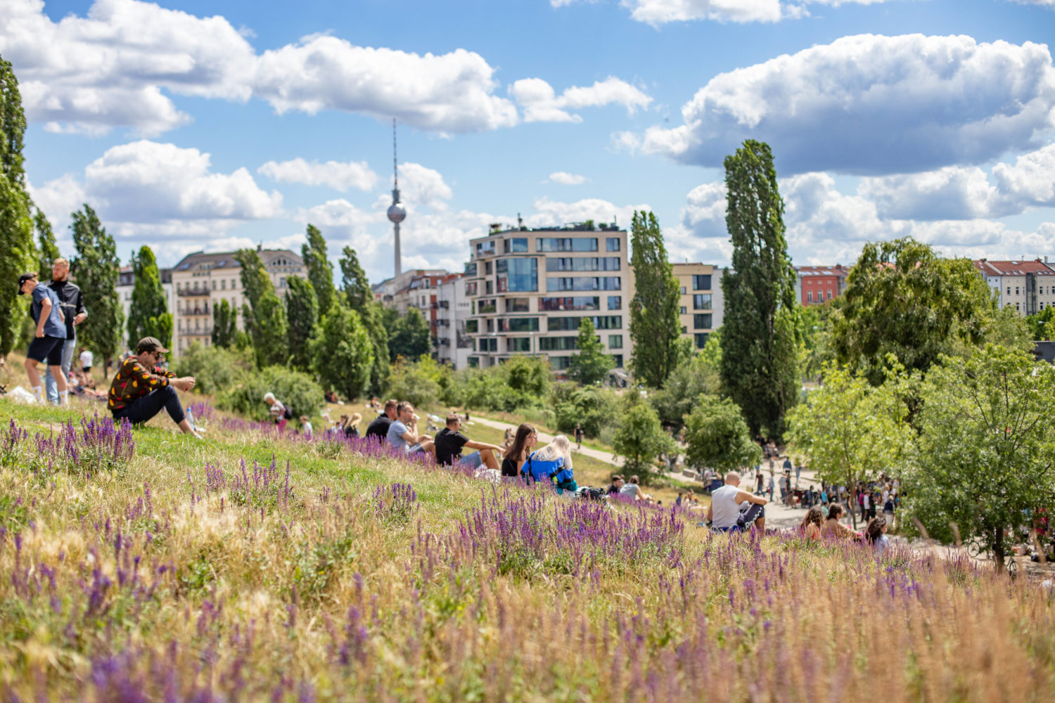 Geheime Gärten: Das sind Berlins schönste unbekannte Parks