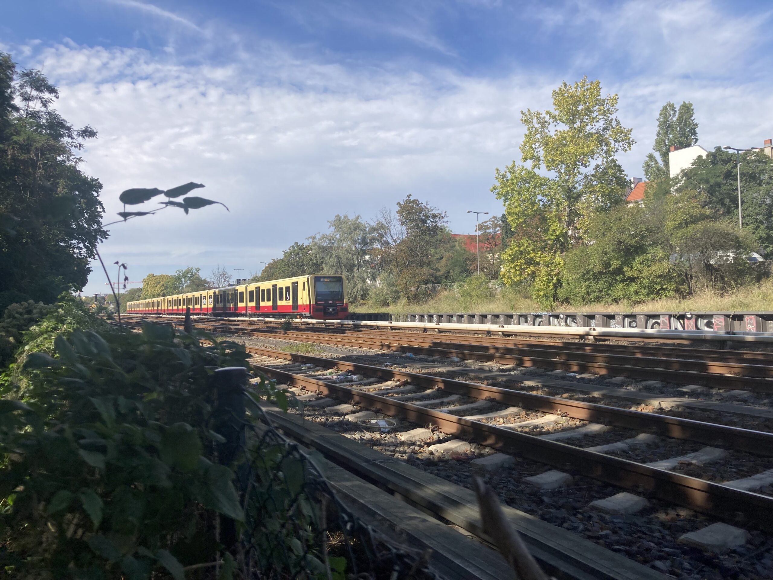 Die S-Bahn unterwegs in Friedenau. Foto: Jacek Slaski